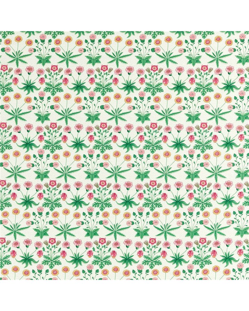 Daisy Strawberry Fields AARC520009 Daisy Strawberry Fields AARC520009