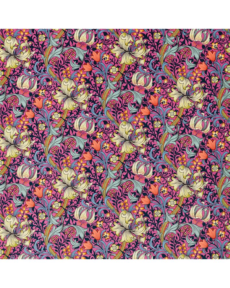 Golden Lily Serotonin Pink AARC520003 Golden Lily Serotonin Pink AARC520003