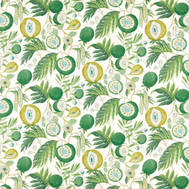 Jackfruit Botanical Green DLUM226935