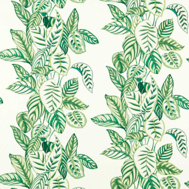 Calathea Botanical Green DLUM226943