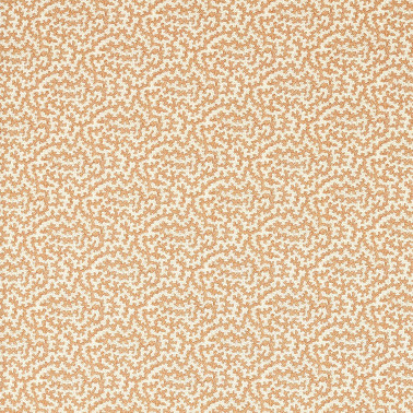 Truffle Sandstone DSAN227203