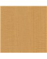 CT70 Yellow Sycamore
