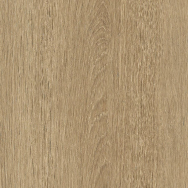 NF63 Nut Ash