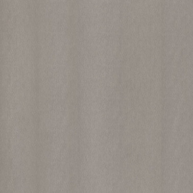 NE51 Champagne Silver
