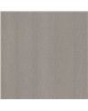 NE51 Champagne Silver