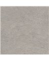 NE24 Raw Grey