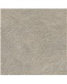 NE25 Raw Taupe