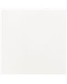 J4 Lacquered White