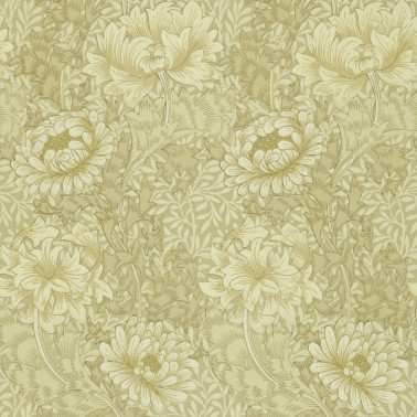 Chrysanthemum Ivory Canvas DJA1CY103