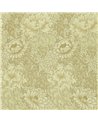 Chrysanthemum Ivory Canvas DJA1CY103