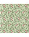 Arbutus Olive Pink DM3W214720