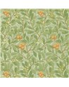 Arbutus Green Terracotta DJA1A7103
