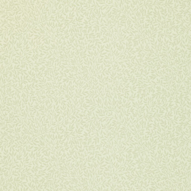 Standen Canvas DGW148101