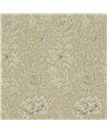 Chrysanthemum Ivory Gold DMOWCH103