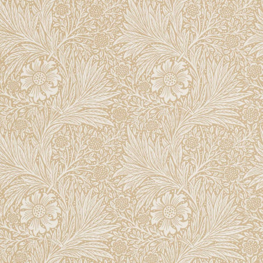 Marigold Manilla DM6P210372