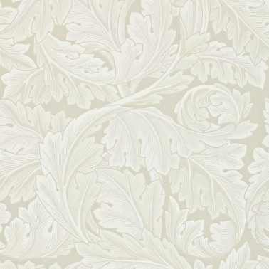 Acanthus Chalk DARW212554