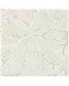 Acanthus Chalk DARW212554