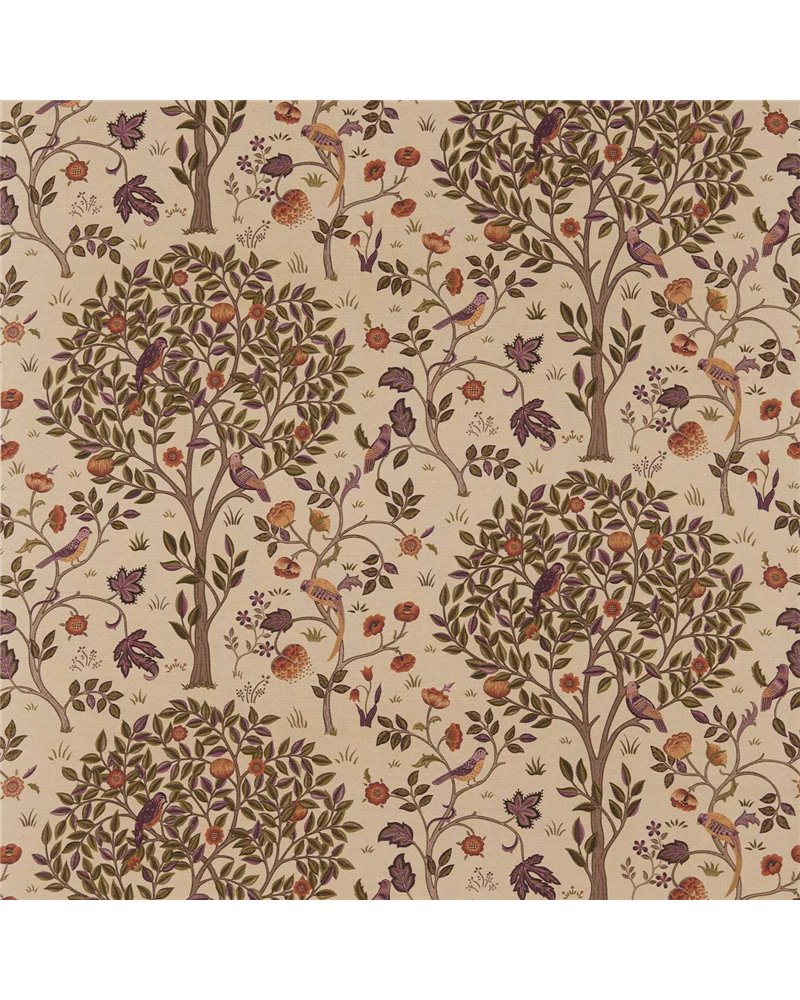 Kelmscott Tree Mulberry Russet DM6F220326 Kelmscott Tree Mulberry Russet DM6F220326