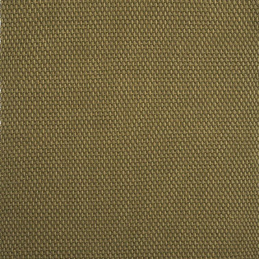 Lace Thyme Pine 497207