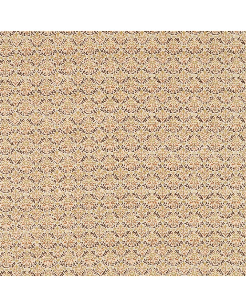 Bellflowers Chocolate Tan MLIF227252 Bellflowers Chocolate Tan MLIF227252