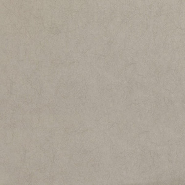 Carta da Parati W399-03 Asper - ROMO