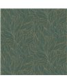 Hosta Jaspe Dore 76602650
