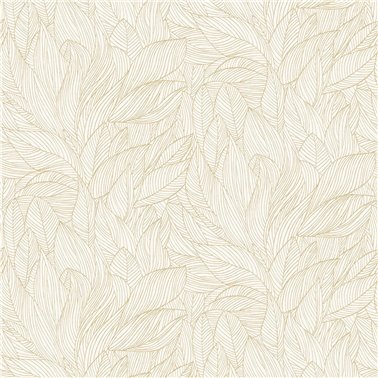 Hosta Ivoire Dore 76602140