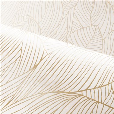 Hosta Ivoire Dore 76602140