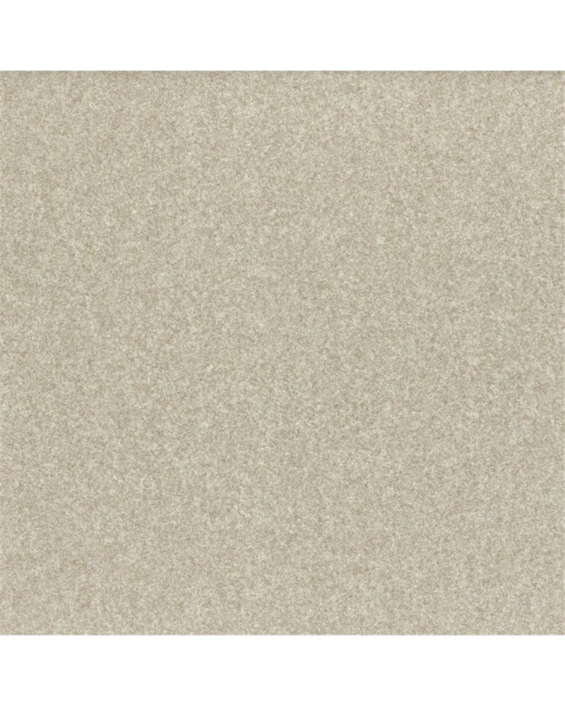 Anatolie Sable 10930317 Anatolie Sable 10930317