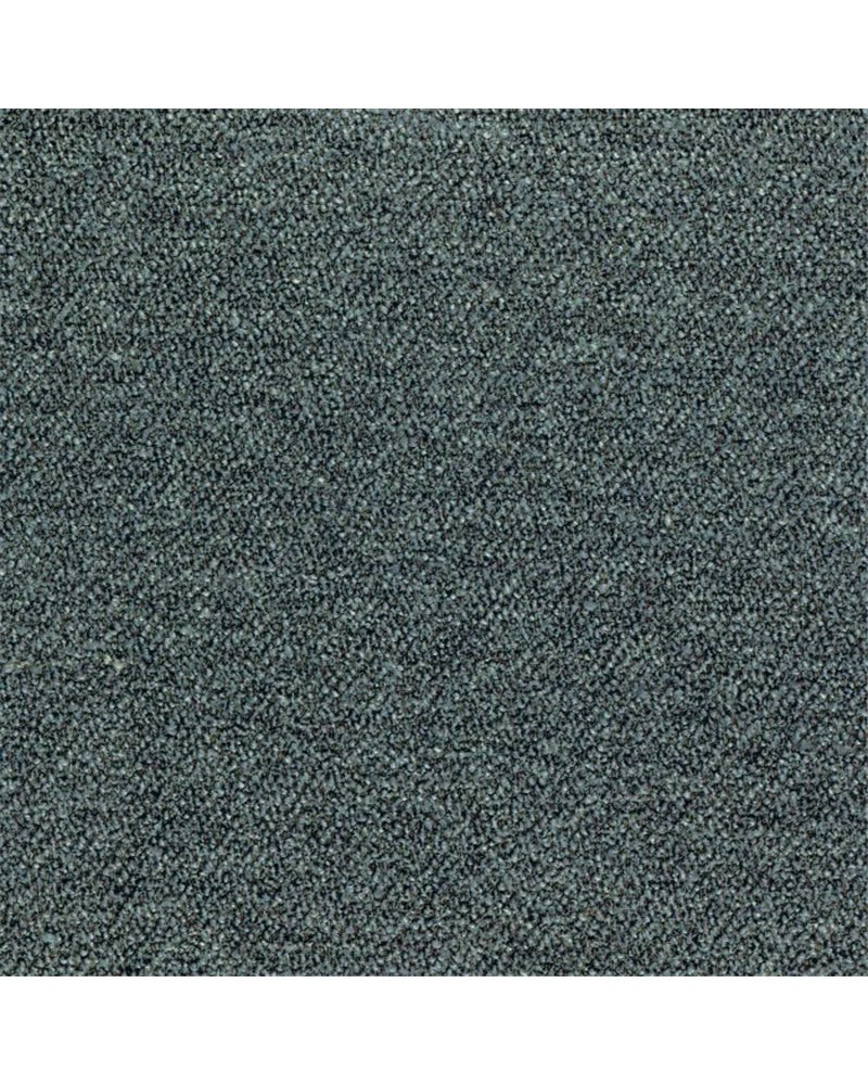 Abruzzes Bleu Nordique 12001408.webp Abruzzes Bleu Nordique 12001408.webp