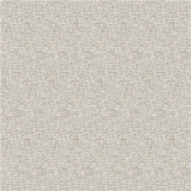 Ambre Oyster MO01801