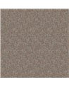 Ambre Saffron MO01802