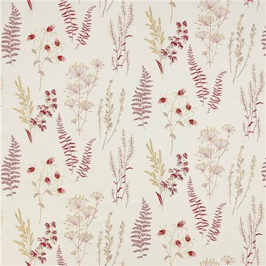 Corbell Red J0097-03