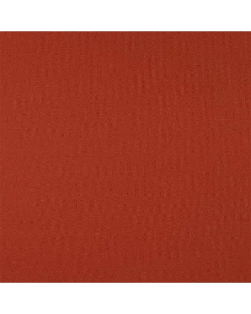 Otis Coral J0204-36 Otis Coral J0204-36