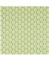 Sessile Leaf Artichoke DARB227076