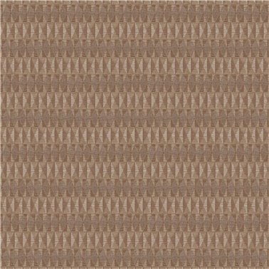 Bolga Camel AMA203