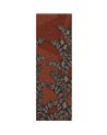 Yucatan Persian DGAMA2031