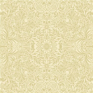 Ceiling 82070