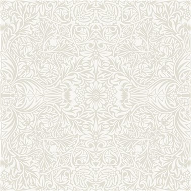 Ceiling 82069