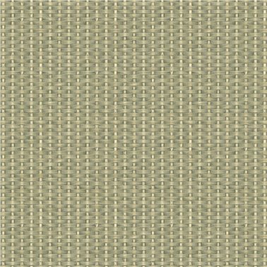 Kuba Raffia Leaves B00445