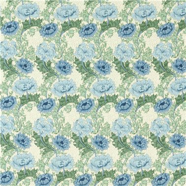 Chrysanthemum Indigo Bayleaf MAMB227099