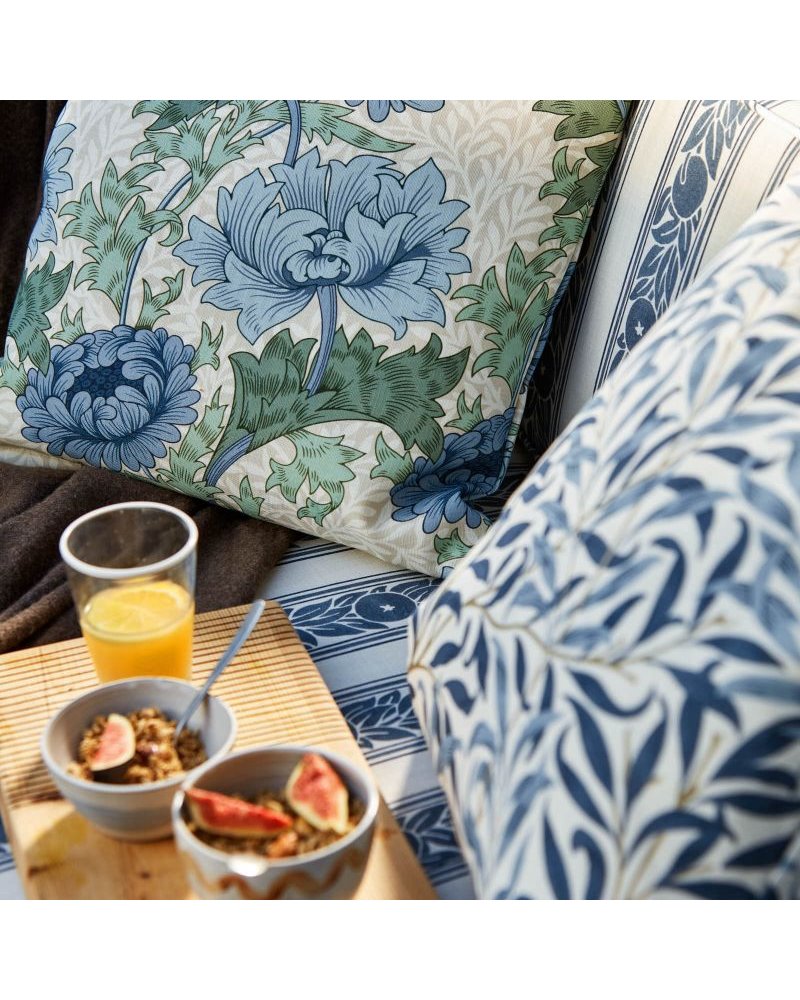 Chrysanthemum Indigo Bayleaf MAMB227099