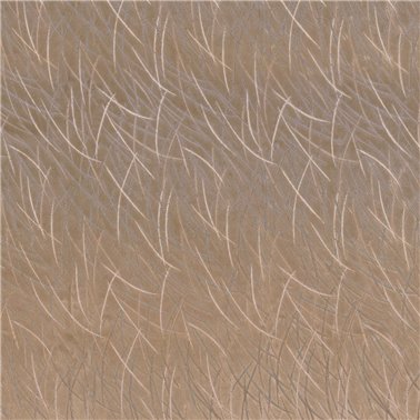 Euphorbe Marron Glace 46060242