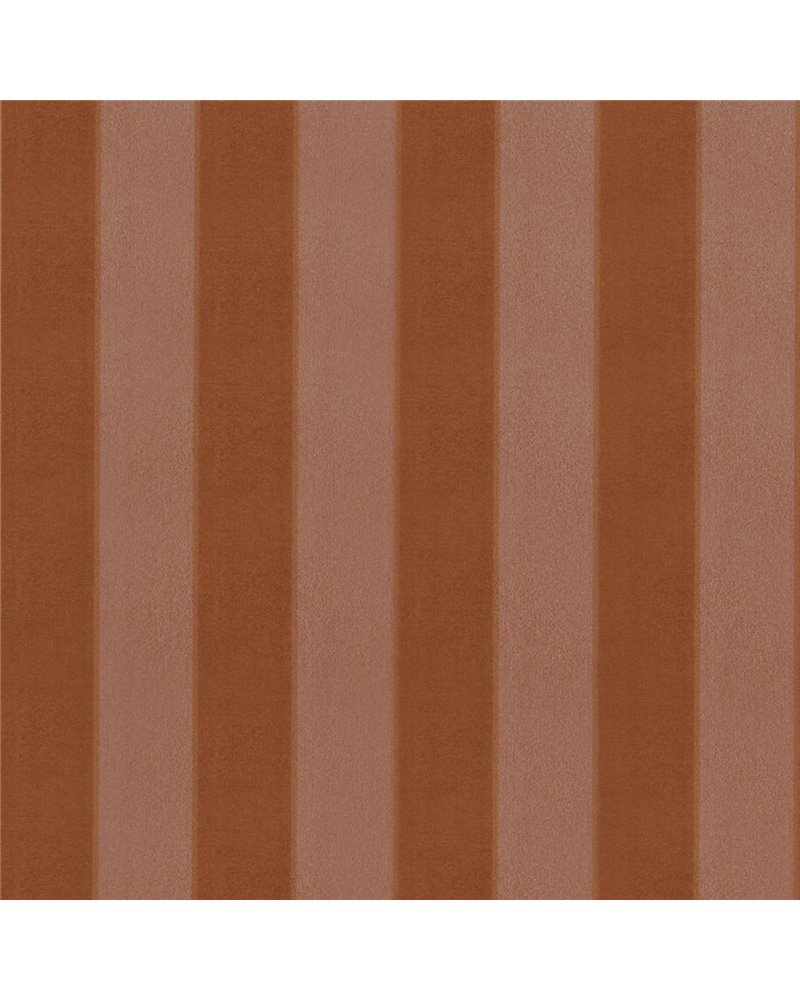 Zingana Orange 46090410 Zingana Orange 46090410