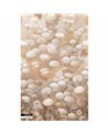 MEDUSE SAND