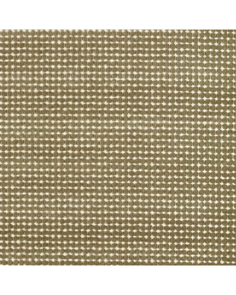 Loopy Spot Moss HHHU134206 Loopy Spot Moss HHHU134206
