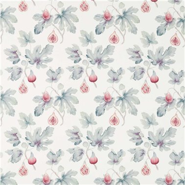 Fig Harvest Chalk Orchid DART226330