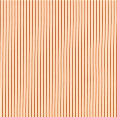 Align Tangerine K5346-05