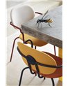 Abeja