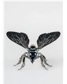 Abeja